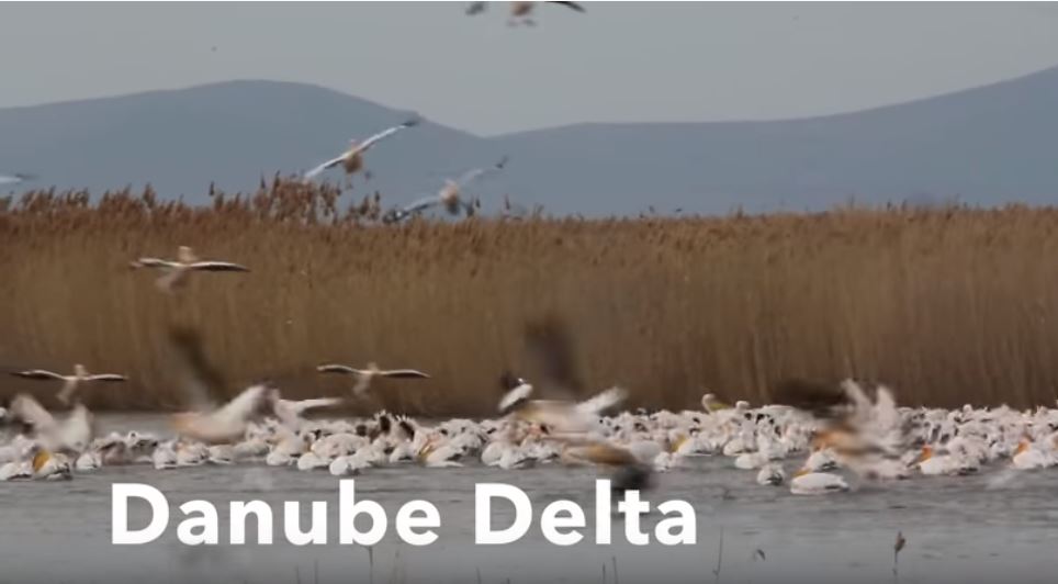 This image has an empty alt attribute; its file name is danube-delta.jpg