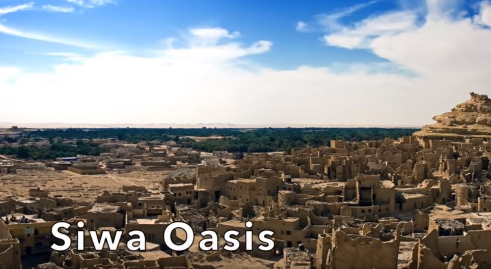 siwa oasis